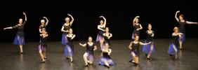 Gala de danse classique adultes 2026 